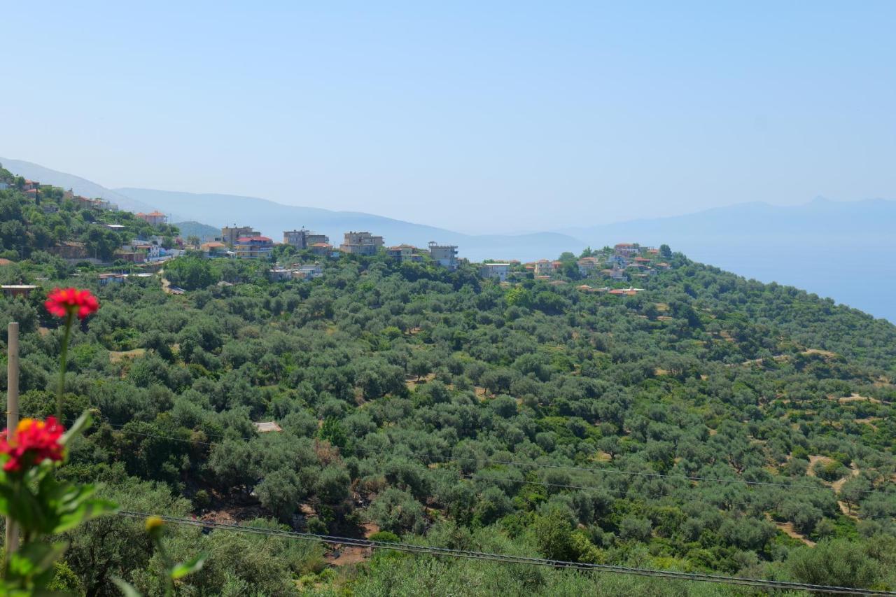 Vila Panorama Piqeras Bed & Breakfast Dış mekan fotoğraf