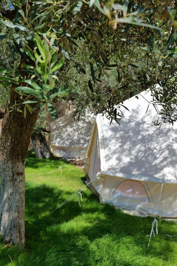 Vila Panorama Piqeras Bed & Breakfast Dış mekan fotoğraf
