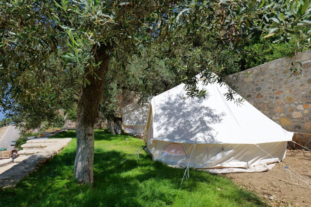 Vila Panorama Piqeras Bed & Breakfast Dış mekan fotoğraf