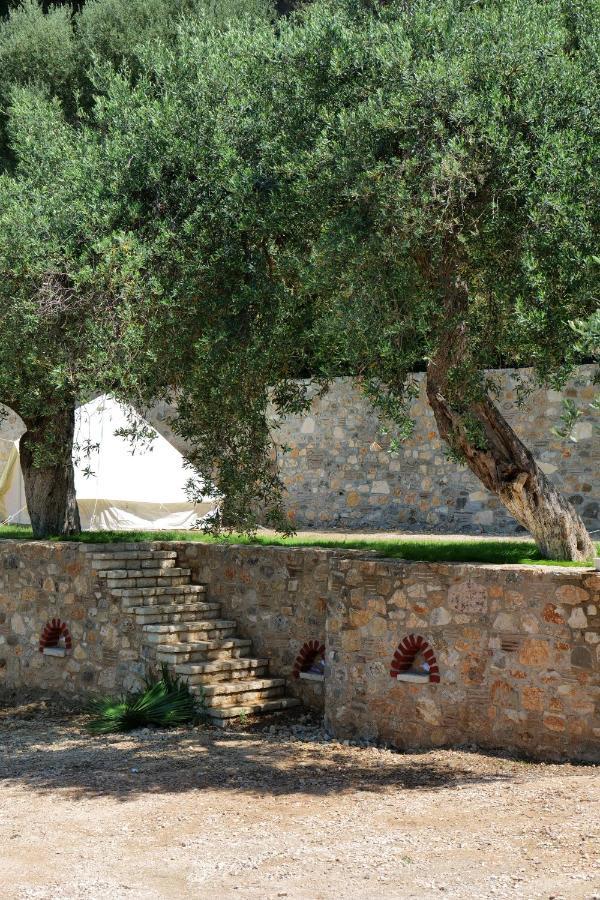 Vila Panorama Piqeras Bed & Breakfast Dış mekan fotoğraf