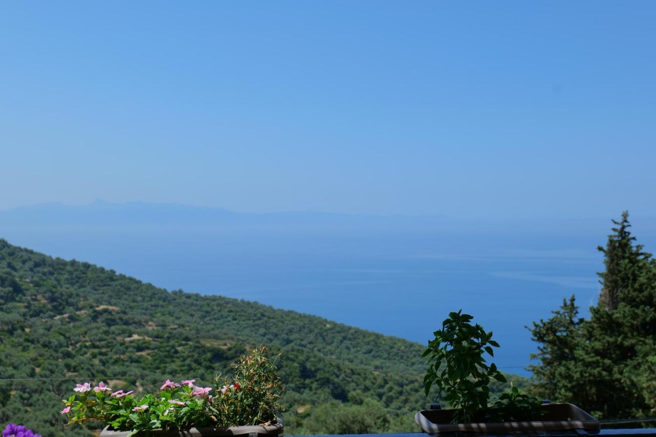 Vila Panorama Piqeras Bed & Breakfast Dış mekan fotoğraf